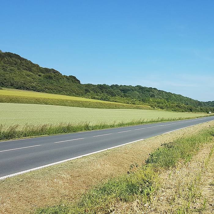 Photo de Église Notre-Dame-de-lAssomption dEscoeuilles